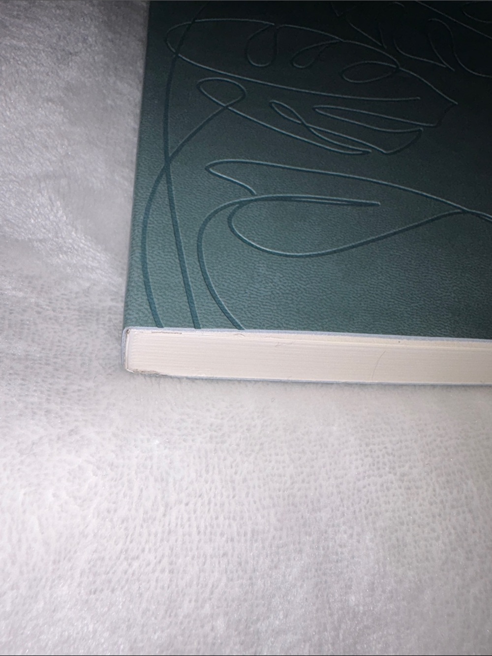 Think Ink Teal “Reflections” Journal - Picture 5 of 7